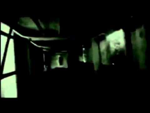 ✅DEEP WEB VIDEO THE GRIFTER