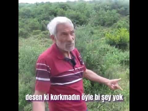 Define Aramaya Giden dayı: “Kedi, millet sıcak yatağında uyurken, sen ne arıyorsun burada” dedi