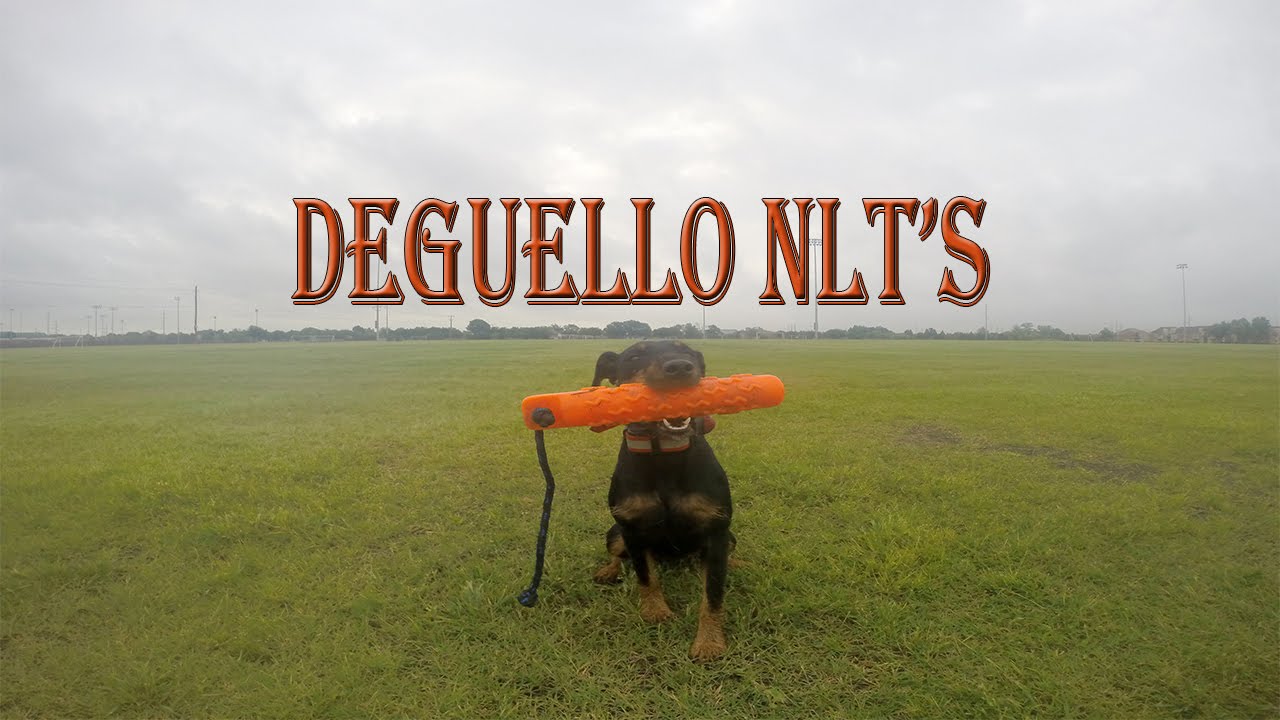 Deguello NLT's Anna learning the double-t