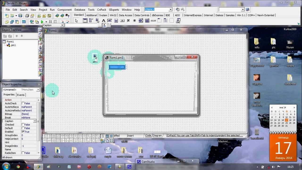 Delphi popup menu