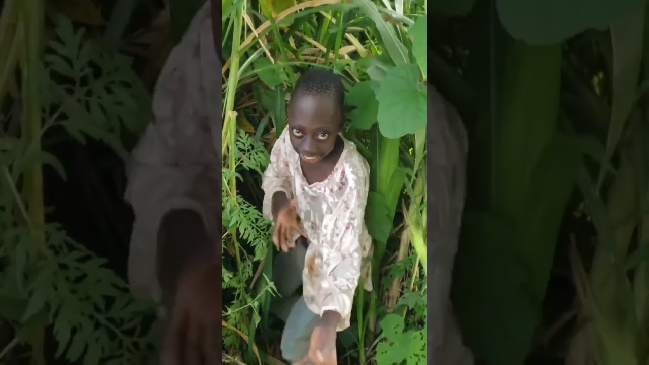 denge denge 😂😂 #funny #shortsfeed #youtubeshorts