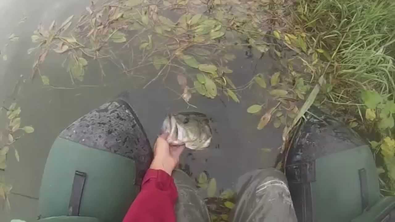 Deps basirisky skipping & extraction - Bass fishing Italy
