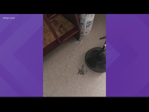 Deputies say Florida couple zip-tied boy to plywood