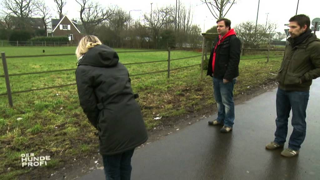 Der Hundeprofi - Martin Rütter - beim Gassigehen mit Dackel Edi