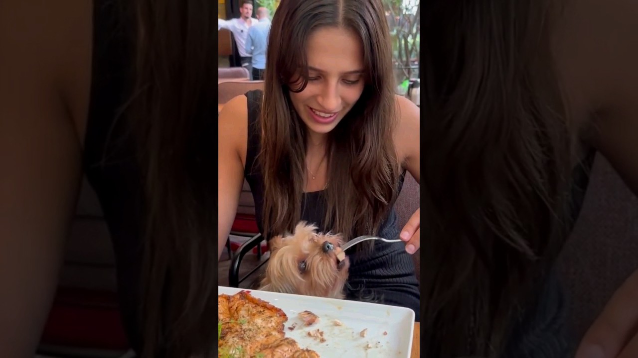 Derya Cebecioğlu ve köpeğinin eğlenceli görüntüsü 🐕