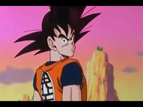 Desafio da garrafa parte 1