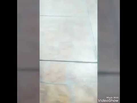 DESAFIO DA GARRAFA#7