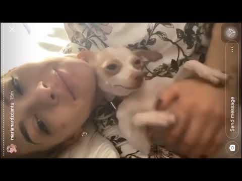Descuido de Mariana Rdz, se le ve el pecho
