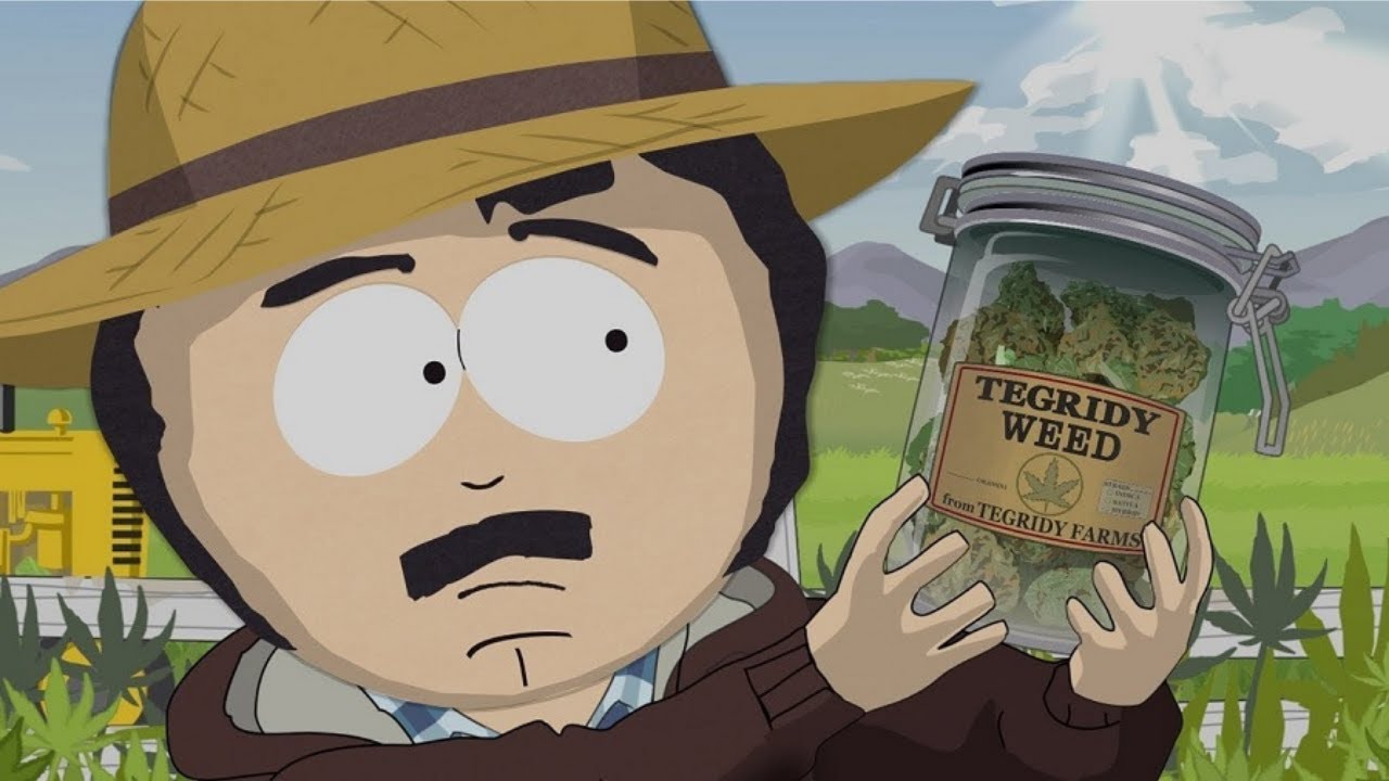 DESENHO PARA ASSISTIR CHAPADO - ASSISTA CHAPADO  -  SOUTH PARK