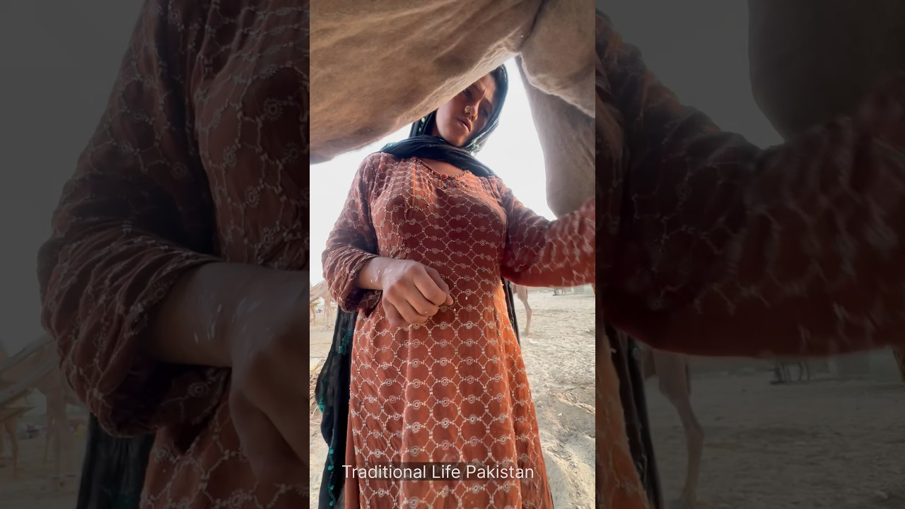 desert life in Pakistan #villagelife #traditional ##india #viral