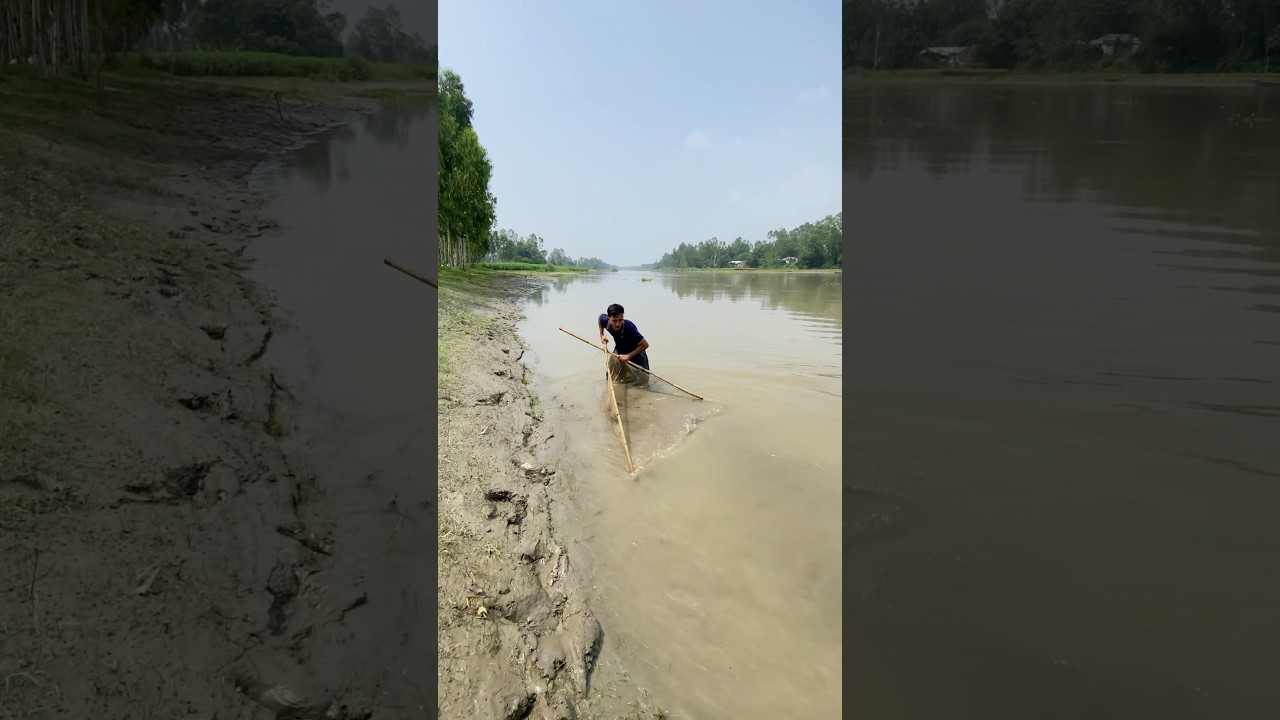 Desi Fishing Technique – Village Net Fishing in Action