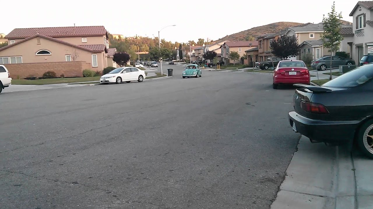 Desi's 69 Bug
