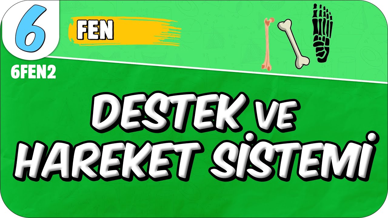 Destek ve Hareket Sistemi 📗 6FEN2 #2025