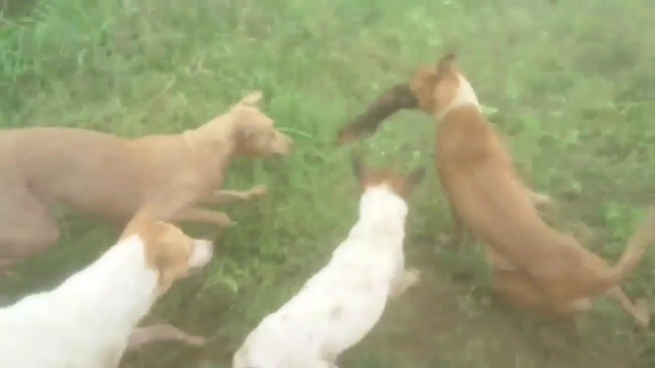 Detik