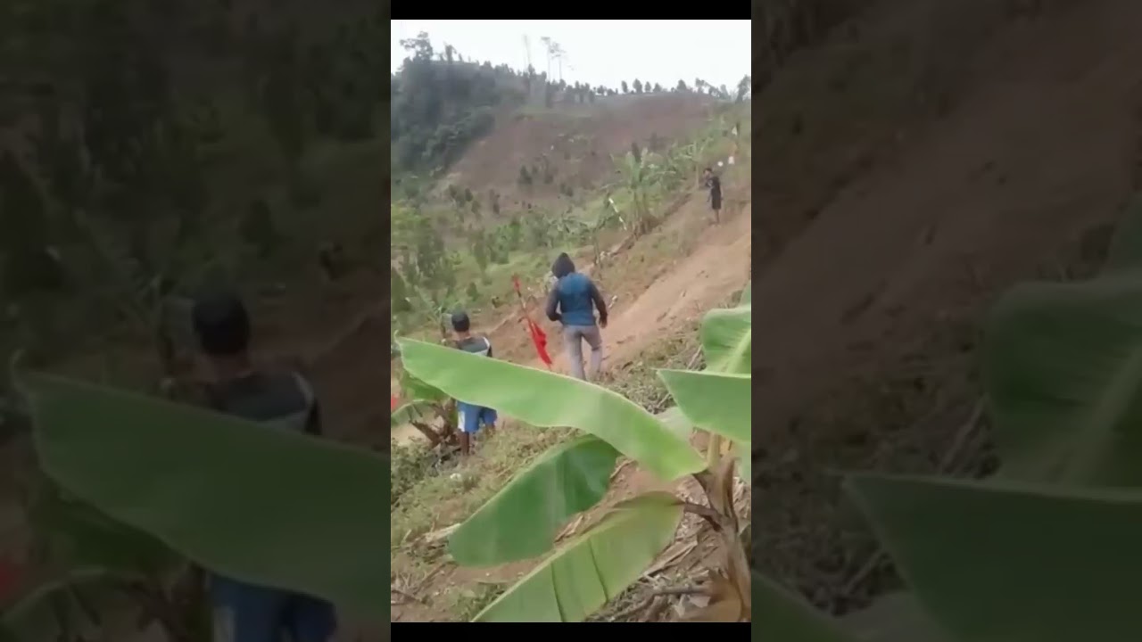 Detik-detik joki cewek mengalahkan joki cowok #shorts