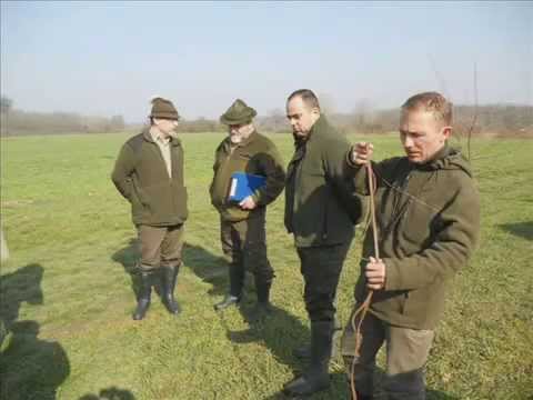 Deutscher Jagdterrier Club Balkan