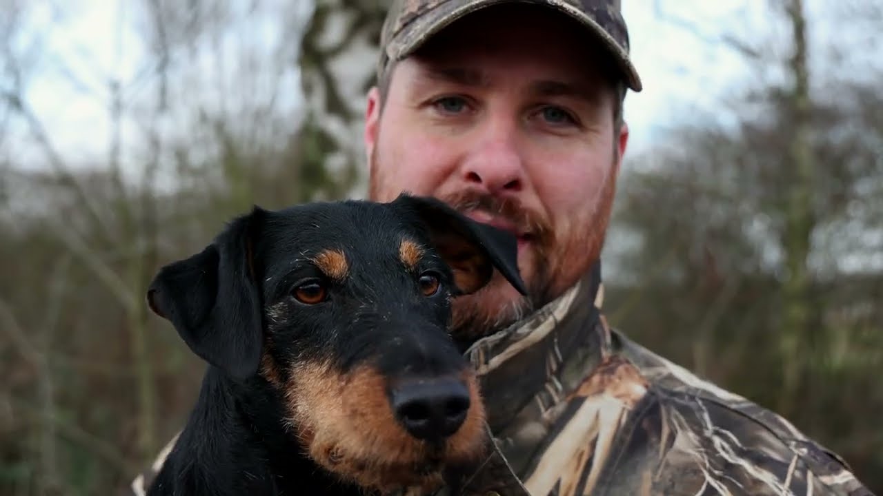 Deutscher Jagdterrier: Rasse- und Arbeitsportrait