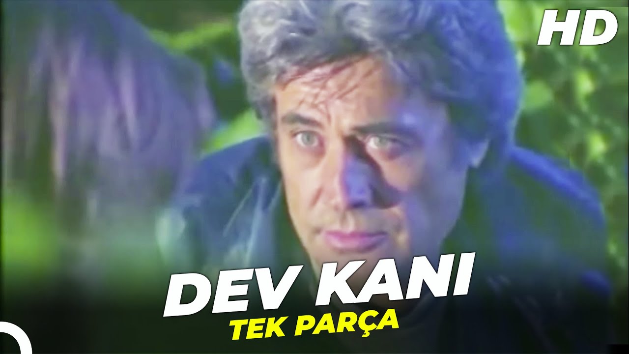 Dev Kanı | Cüneyt Arkın Filmi İzle