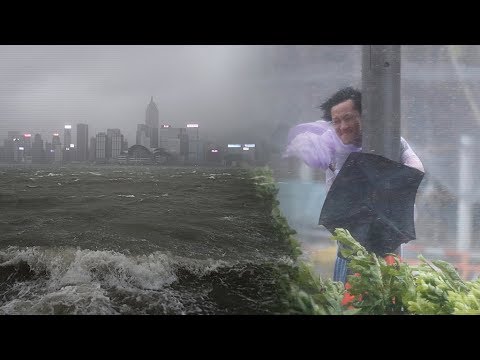 Devastating force of Typhoon Hato captured on video