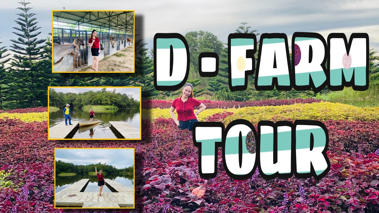 D-FARM IN SAMPALOC , QUEZON | {vlog#017}
