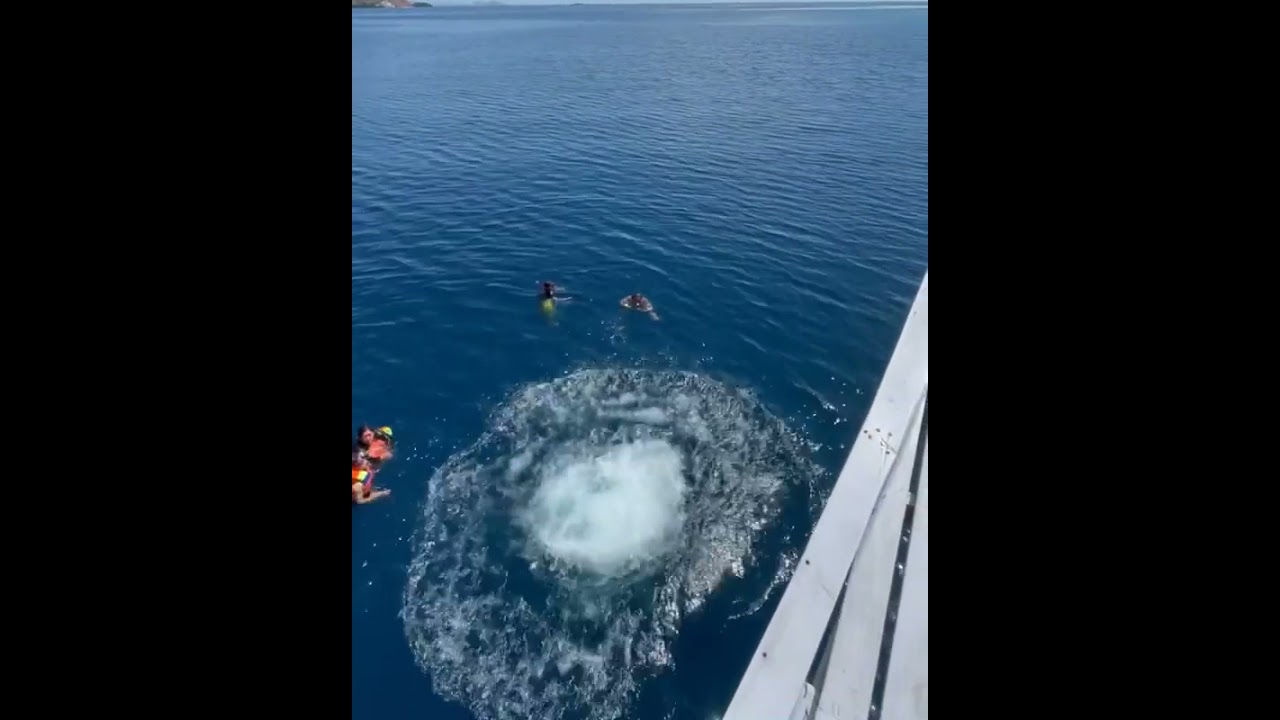 DHEA ZAUTHA berenang pakek bikini !!