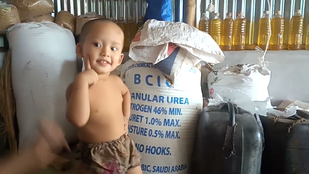 Dhmp 4 t ronobir