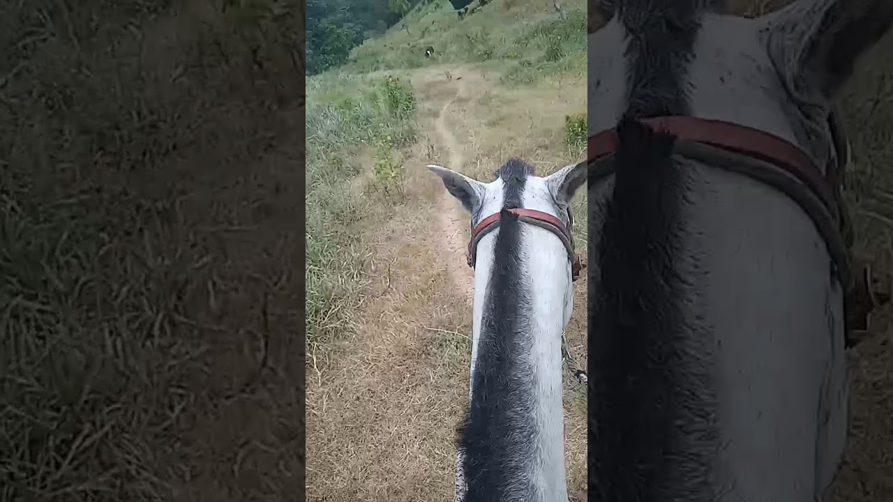 Dia de lida