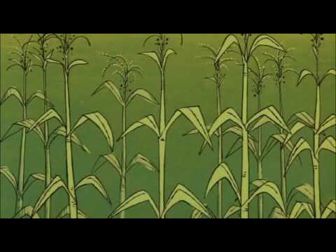 [DIBU] Pink Panther 061 - Pink on the Cob - EN English Ingles