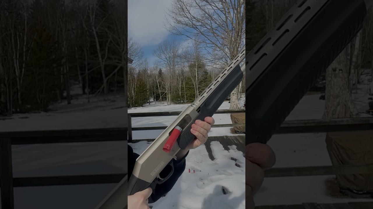 Dickinson shotgun