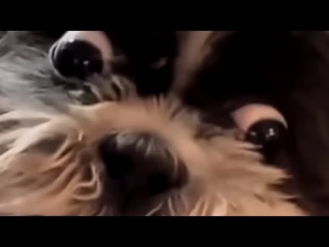 Did you wash your @$$ today meme