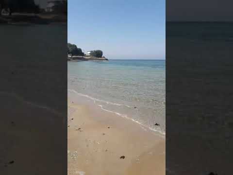 didim