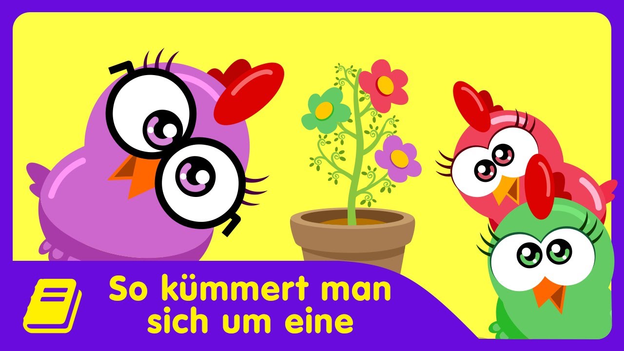 Die Kleine Henne Pünktchen Mini - So kümmert man sich um eine Pflanze