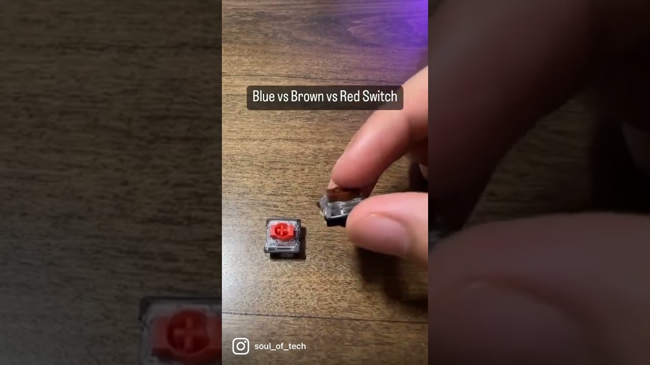 Difference Between a Blue, Brown and Red Keyboard Switch