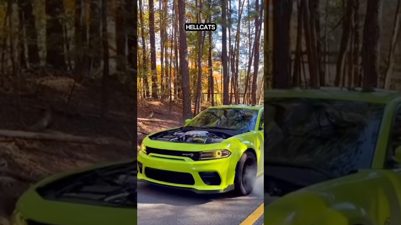 Differences Between Dodge Challenger Hellcat And Dodge Charger Hellcat. #dodge #mopar #srt #hemi