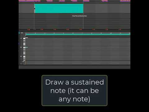Digital Blips Tutorial @Ableton  #shorts