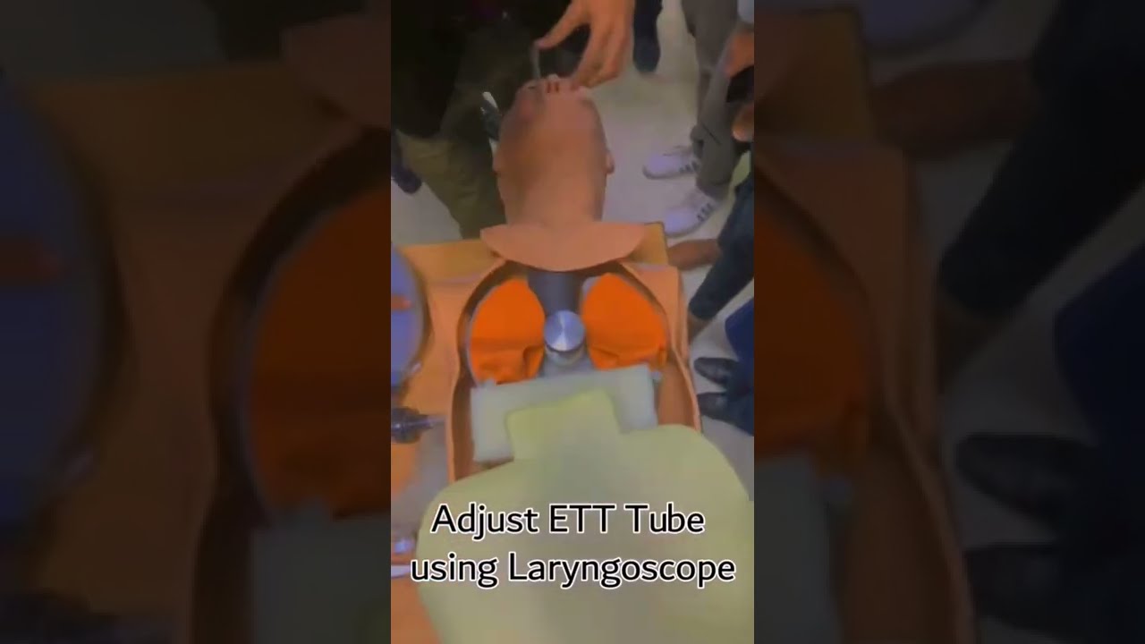 Digital CPR Training Manikin | Human anatomy skeleton Adult | The Biomed Dude #shorts #cpr #manikin
