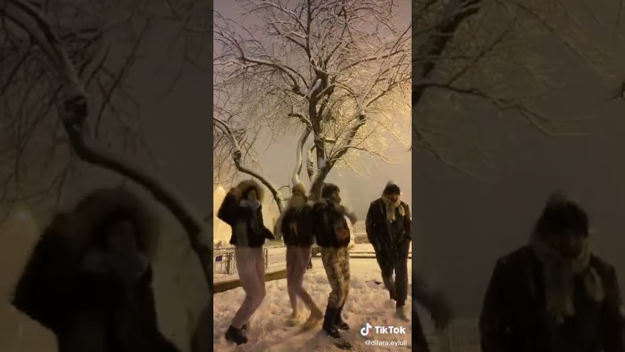 Dilara Eylül Şentepe Arkadaşlar yoldaki adam bize eşlik etti ahahahahahahahah