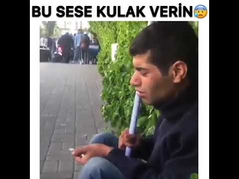 Dilenci Süper ses Medine Gülü Ilahi.