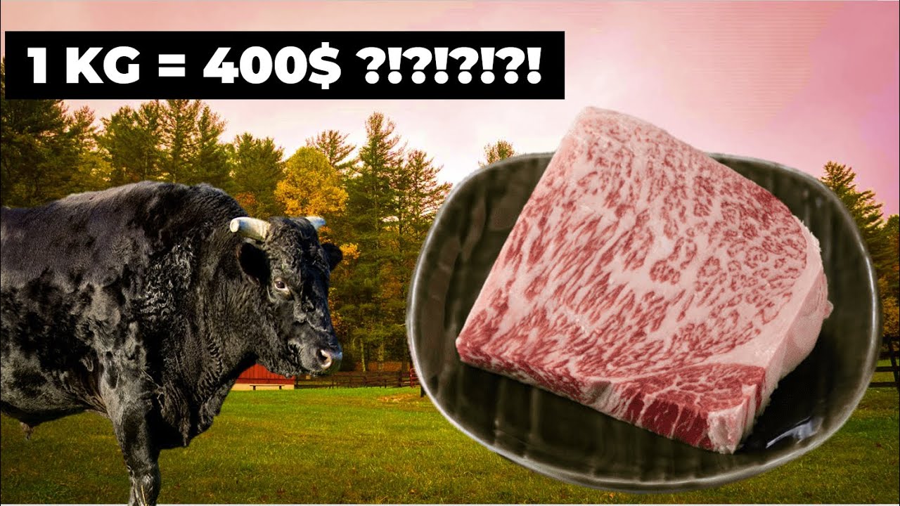 Dillere Destan Japon İneği: Wagyu