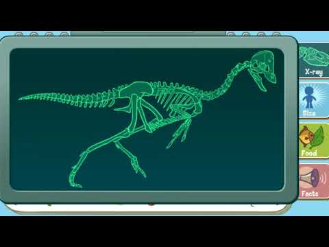 Dinosaur Train Games - Dinosaur Field Guide