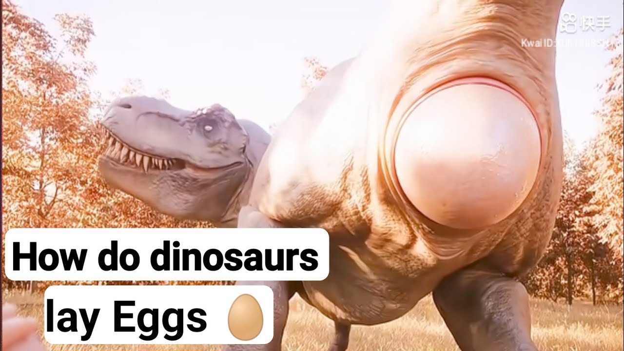 Dinosaurs Laying Eggs: What Really Happened? 🦕 🥚