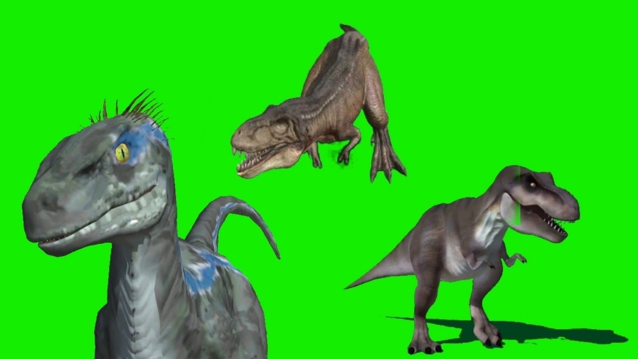 Dinosaurs rampage and roar green screen - Animal green screen