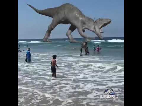 Dinossauro Rex Versus  Tiranossauro na praia #Shorts