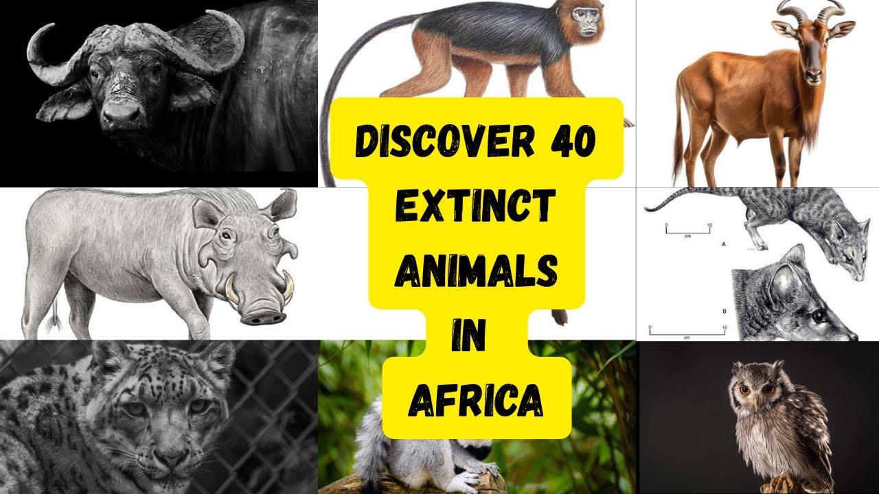 Discover Top 40 Extinct Animals in Africa You Didn't know Existed.