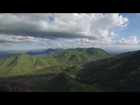 Discovery animal planet 2019