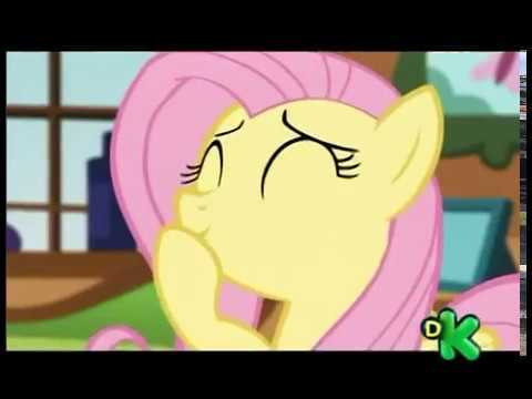 Discovery Kids Latin America - Panregional feed - Continuity - 17 January 2017