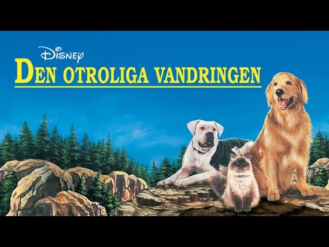 Disney Köpfilm - Den Otroliga Vandringen - Reklam Hyrfilm VHS Trailer