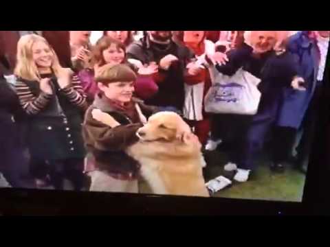 Disney's Air Bud ending 1997 josh gets buddy and snivly goes to jail