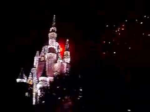 Disney's Magic Kingdom New Years Eve Fireworks 12/31/07