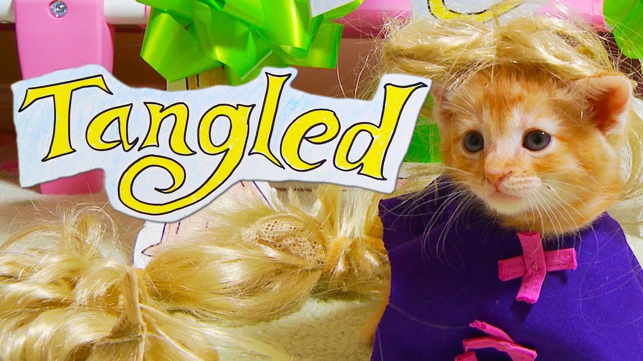 Disney's Tangled (Cute Kitten Version)